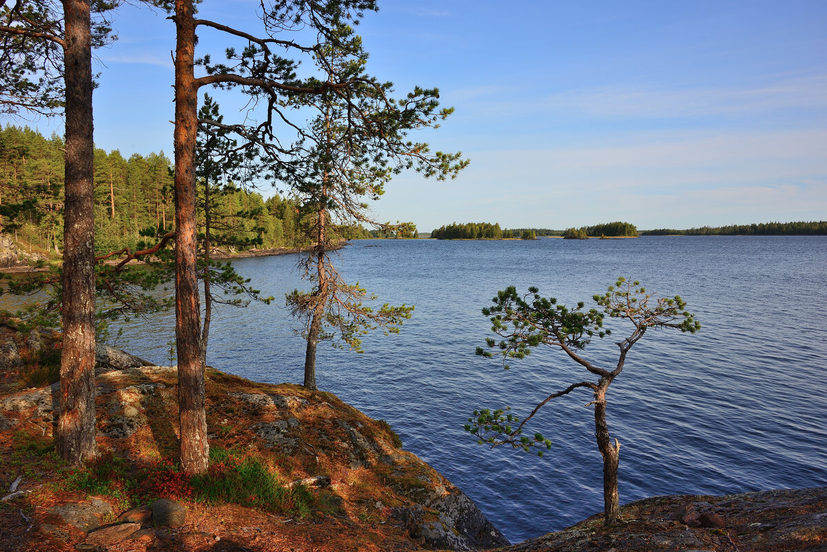 *** - Александр Хаецкий