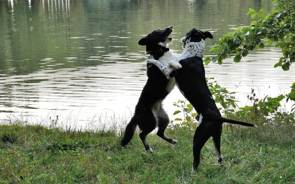 Танец - Иван Генералов