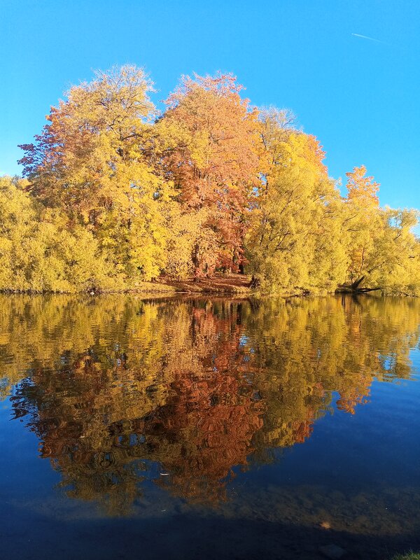 Осень - Сапсан 
