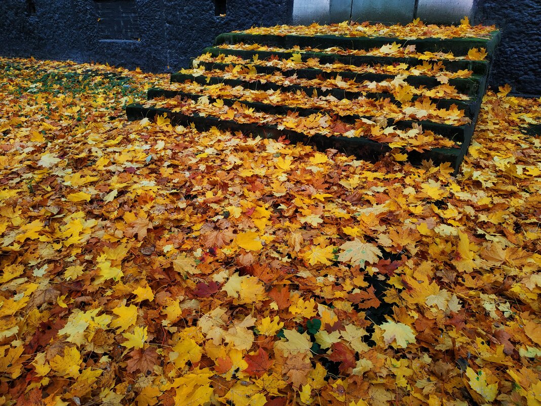 Золотая! - Андрей Лукьянов Золотая! - Андрей Лукьянов