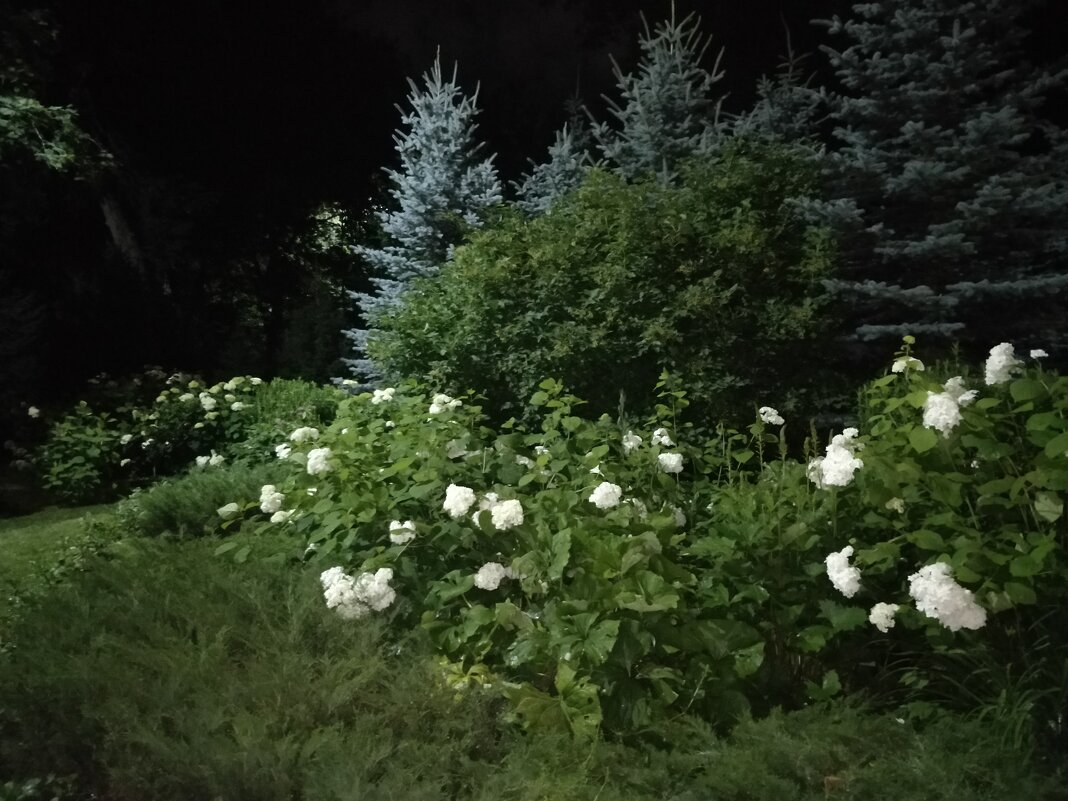 Ночь - Андрей Хлопонин