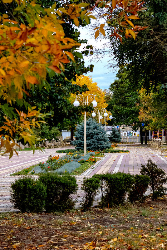 Осень на Кубани 10.10.25 г. - Вадим Федотов 