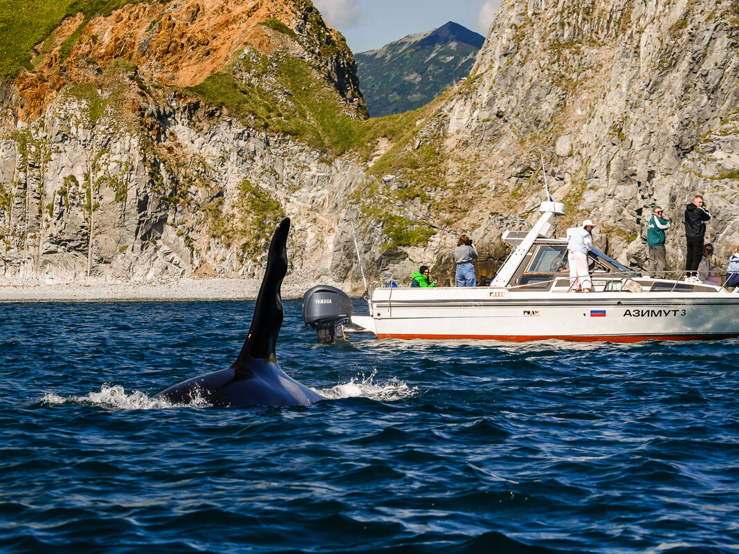 ... - Жора Житников