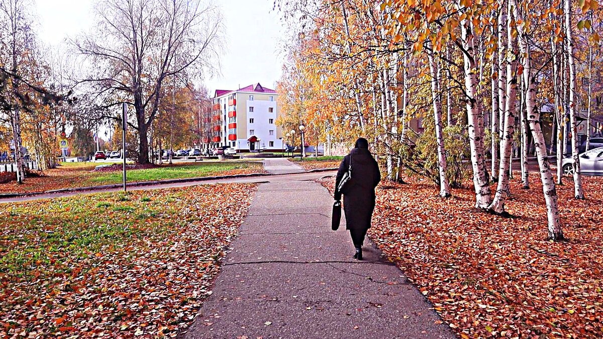 Просто осенний этюд! - Владимир 