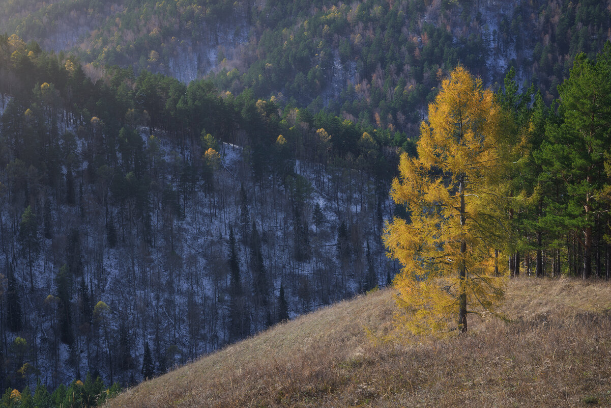 * - Александр Иванов