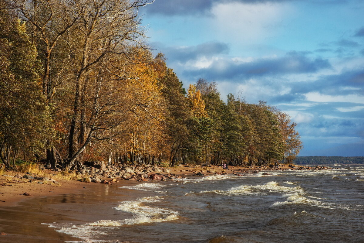 *** - Сергей  Могутов 
