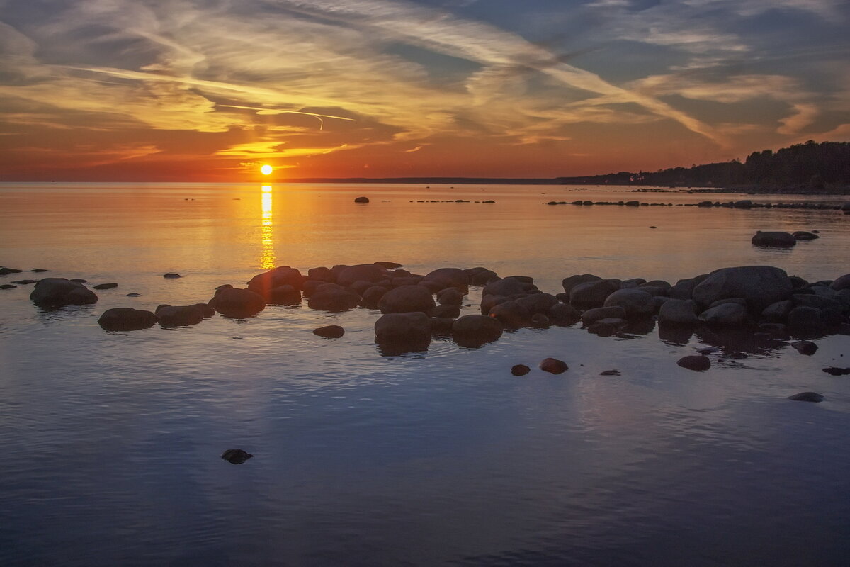 *** - Сергей  Могутов 