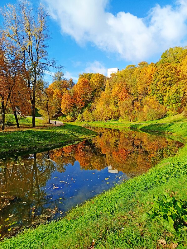 Уж небо осенью дышало.... - Vladimir Semenchukov