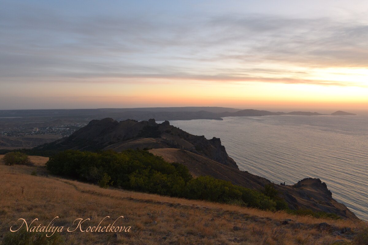 Природа Крыма - Amazing Cosmea