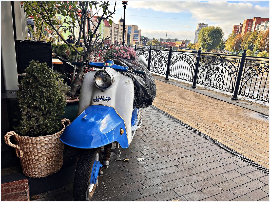 Утро города. - Валерия Комова