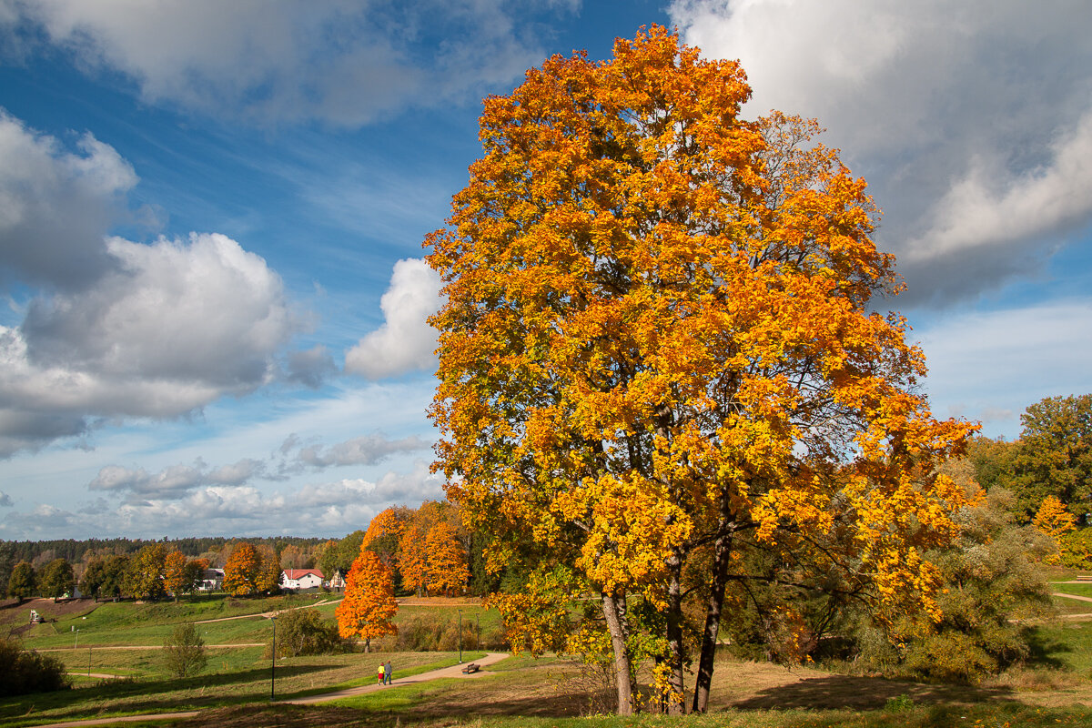 *** - Геннадий Порохов