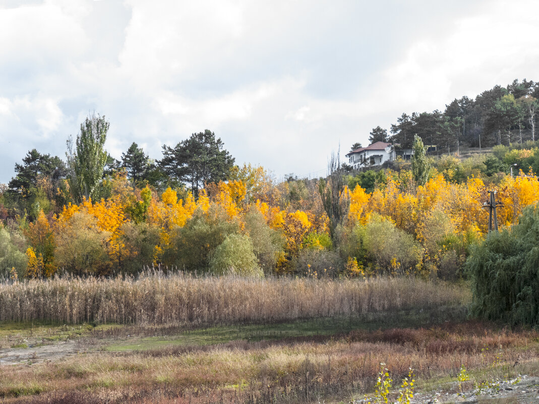 Осень золотая - Валентин Семчишин Осень золотая - Валентин Семчишин