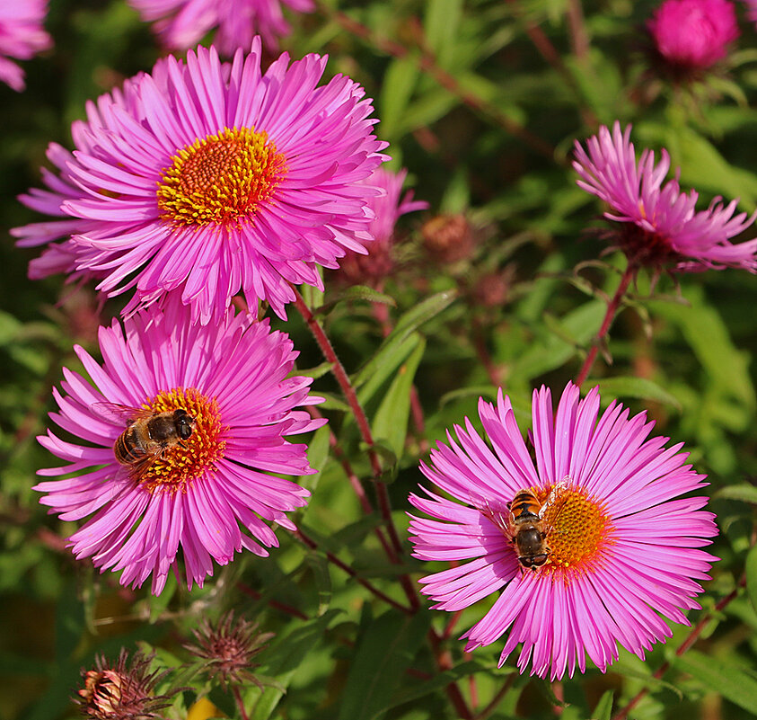 Трудяги на сентябринках - Светлана Трудяги на сентябринках - Светлана