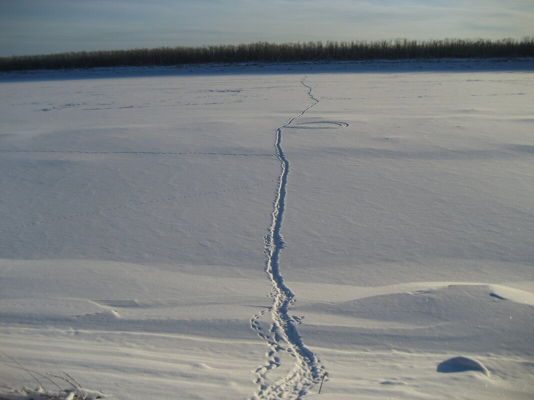 Наша тропа - Anna Ivanova Наша тропа - Anna Ivanova