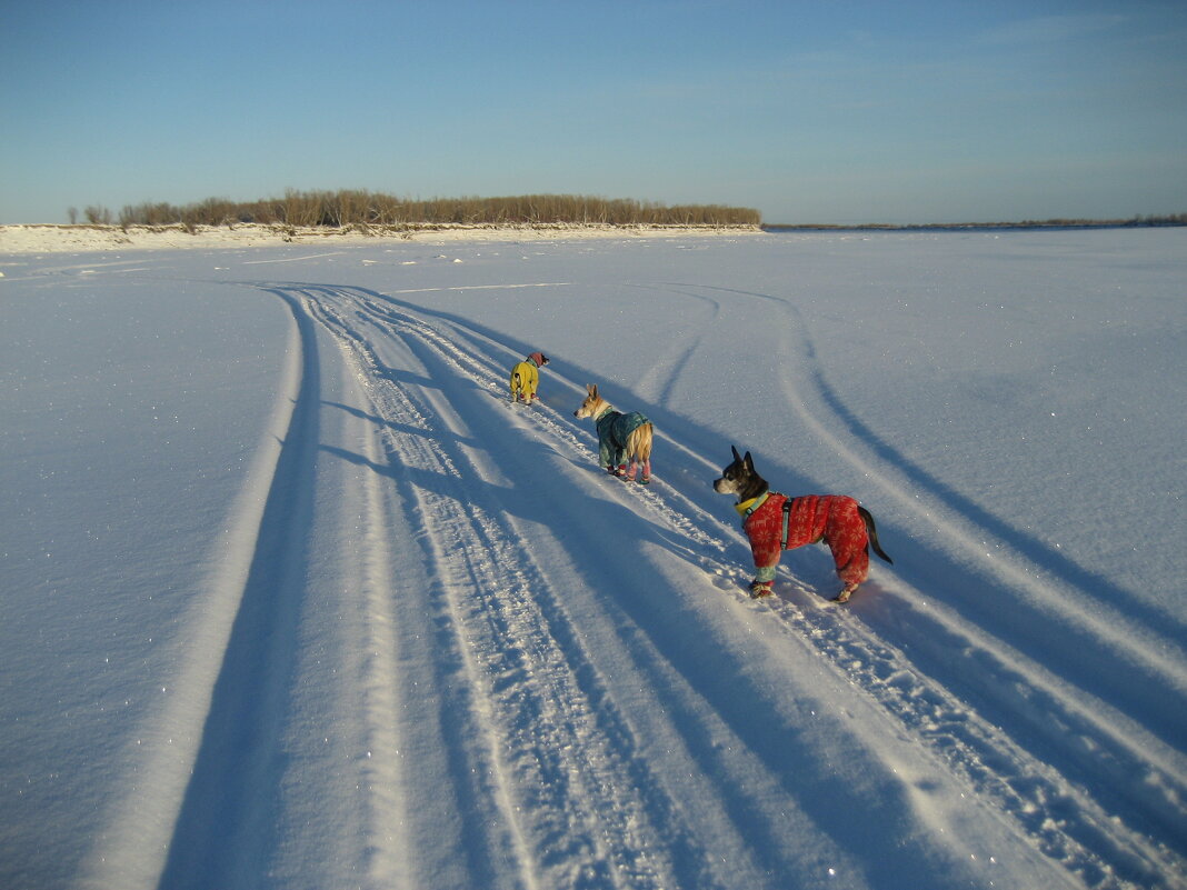 На протоке - Anna Ivanova