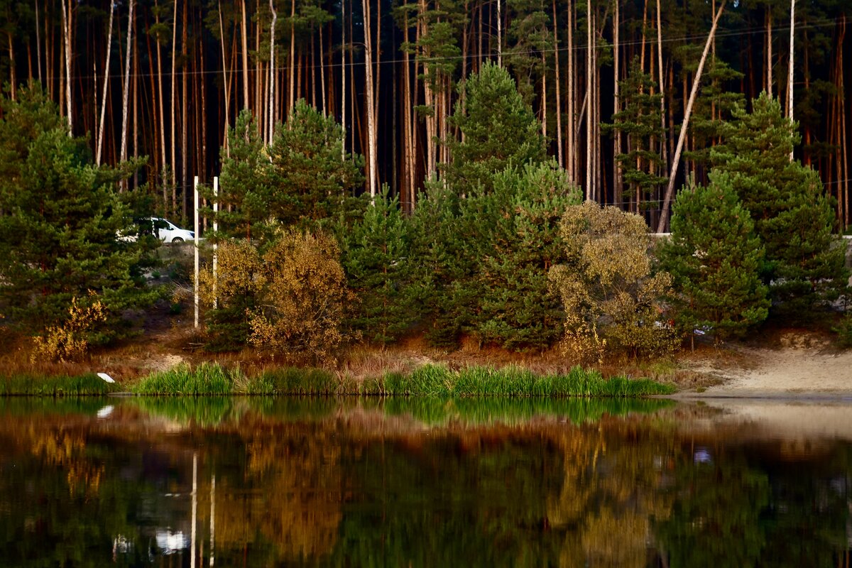 Красота осени - Натали Королева