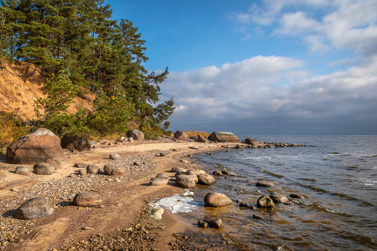 **** - Елизавета .