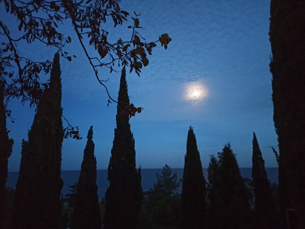 Полнолуние - Галина 