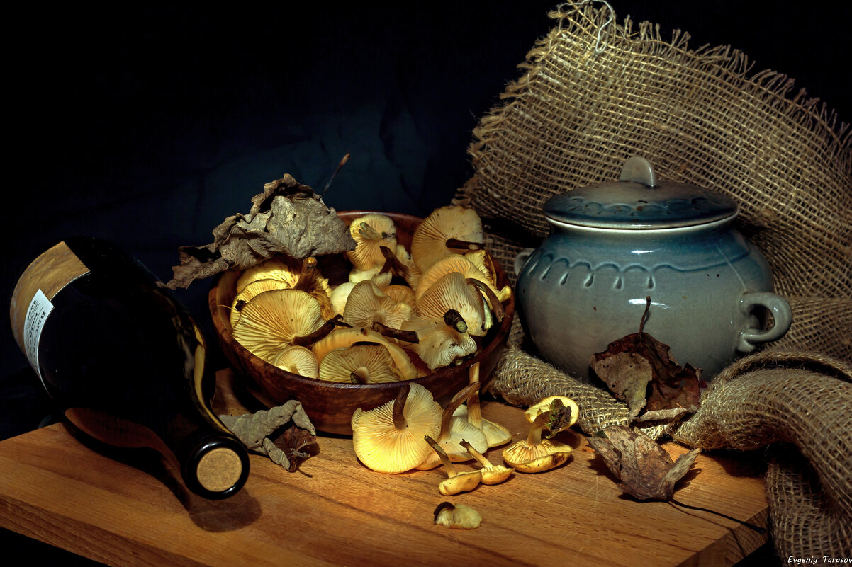 Натюрморт с зимним опенком (Flammulina velutipes) - Евгений Тарасов 