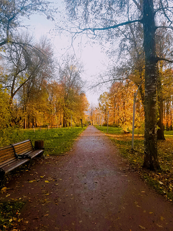 Осень в Захаровском парке - Сергей Кочнев
