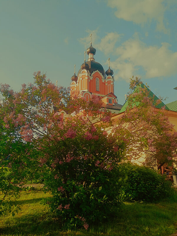 ** - Сергей Кочнев