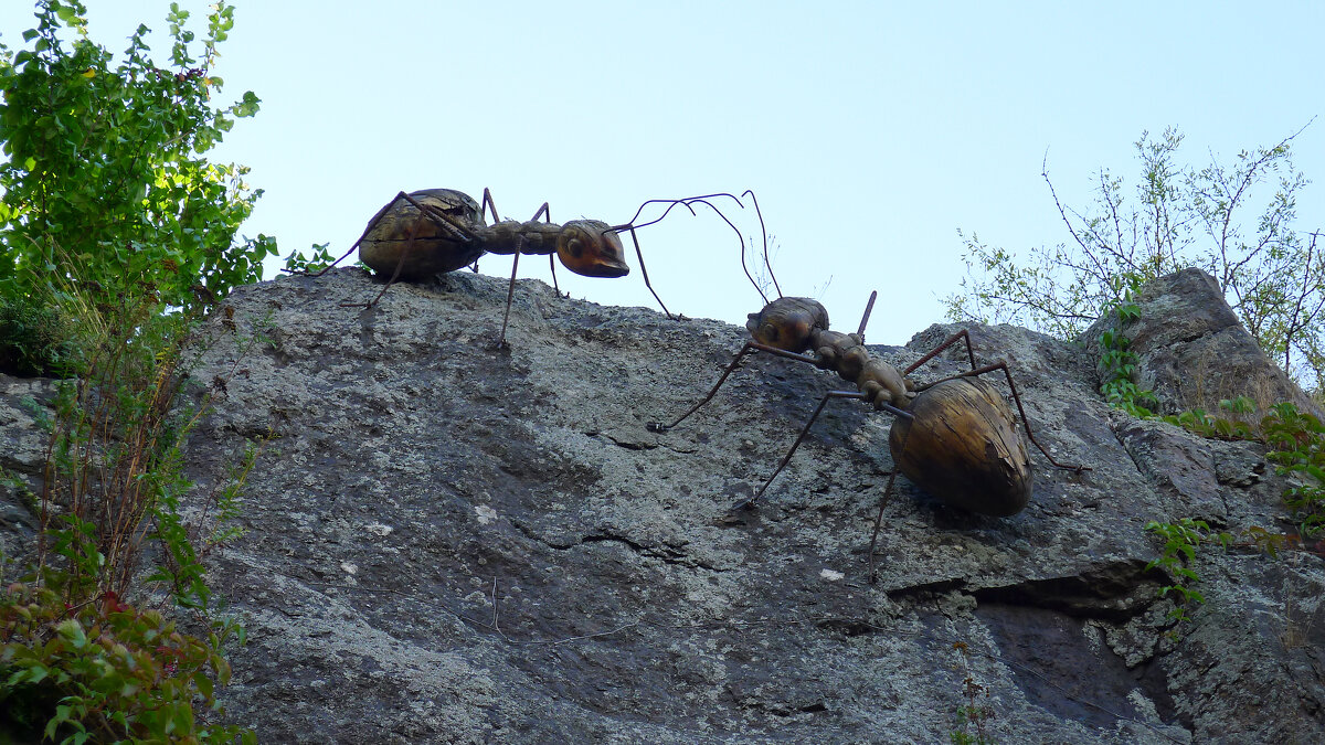 Планёрка на скале - Серж Show Планёрка на скале - Серж Show