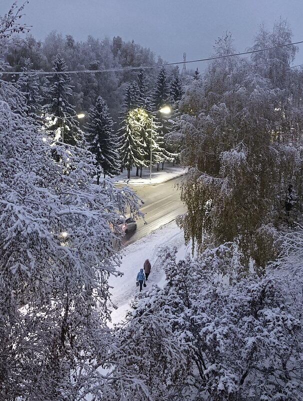 Осенний снегопад . - Мила Бовкун