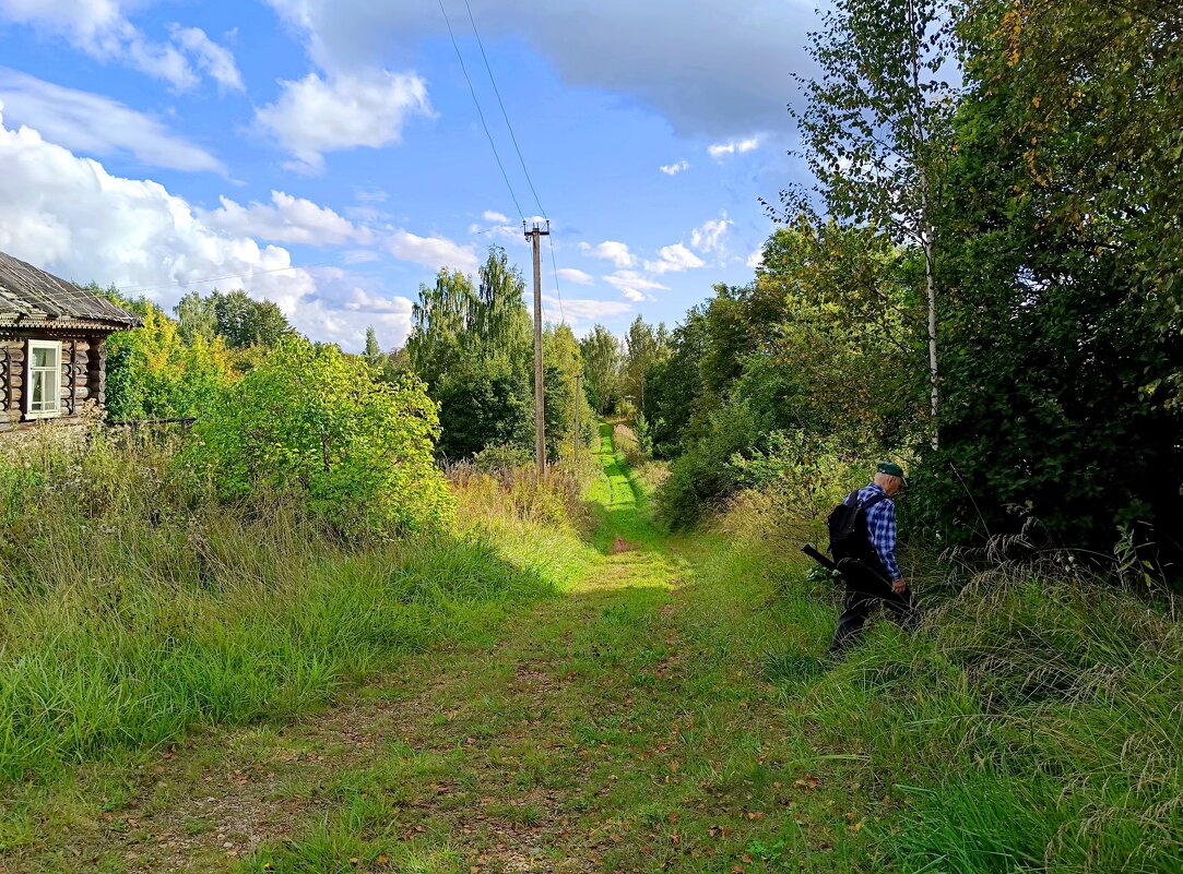 Дорога к реке - Мария Васильева