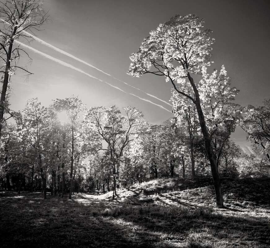 *** - Сергей Григорьев