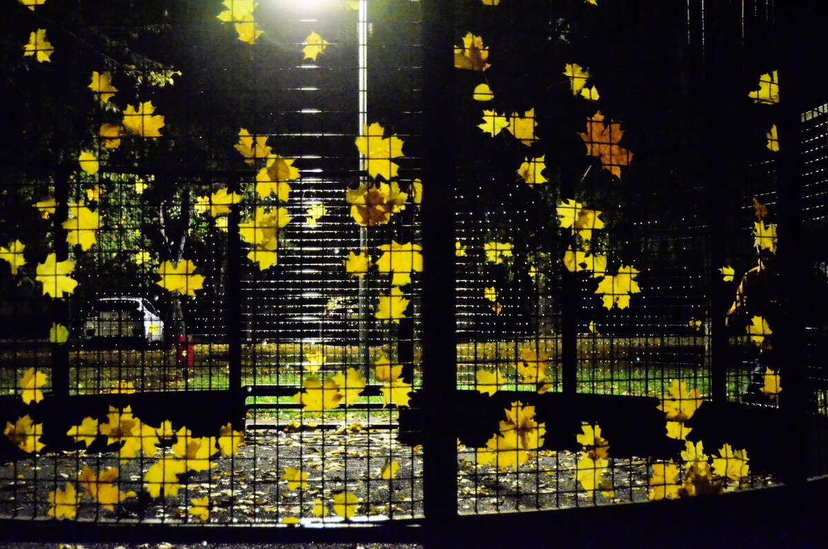 Инсталляция осени. - Наталья Вязигина