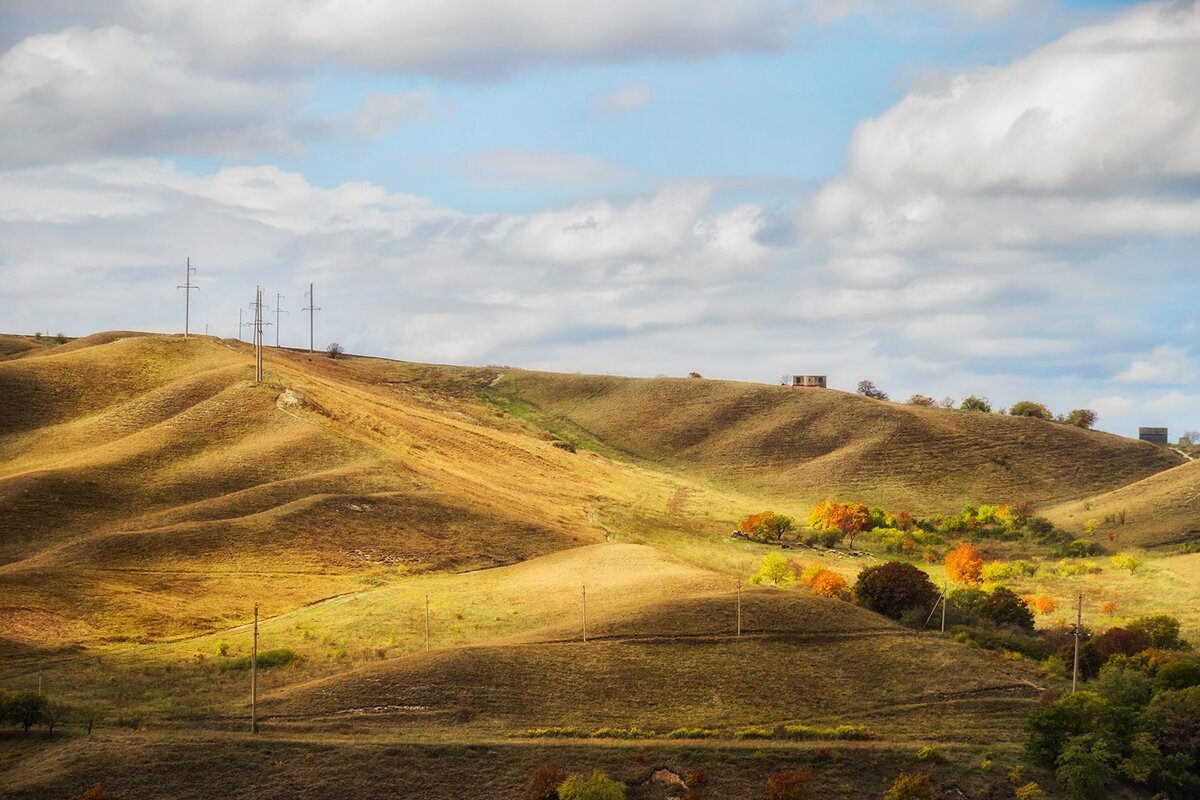 *** - Геннадий Чеботарев