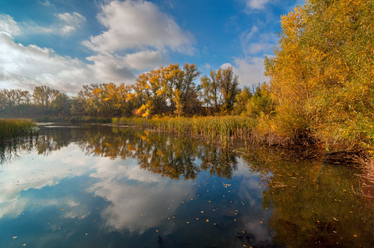 Природный парк Волго-Ахтубинская пойма. - Дина Евсеева