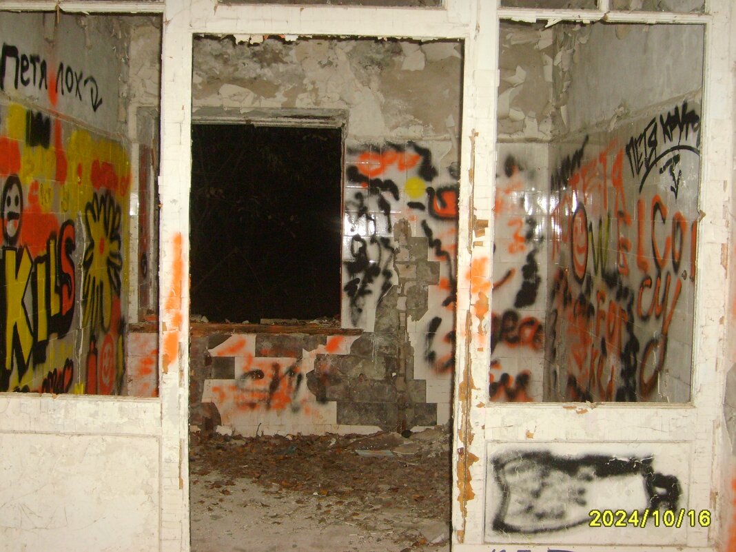 заброшка - fogmeadowww m