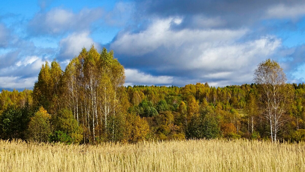 Осенний пейзаж (репортаж из поездок по области). - Милешкин Владимир Алексеевич Осенний пейзаж (репортаж из поездок по области). - Милешкин Владимир Алексеевич