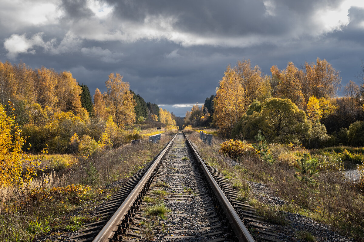 дорога в осень - Galina 