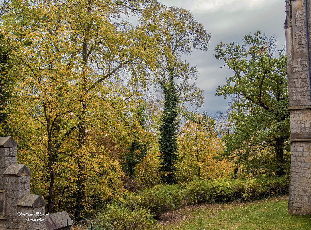 У стен замка Мариенбург - Светлана Ищенко У стен замка Мариенбург - Светлана Ищенко