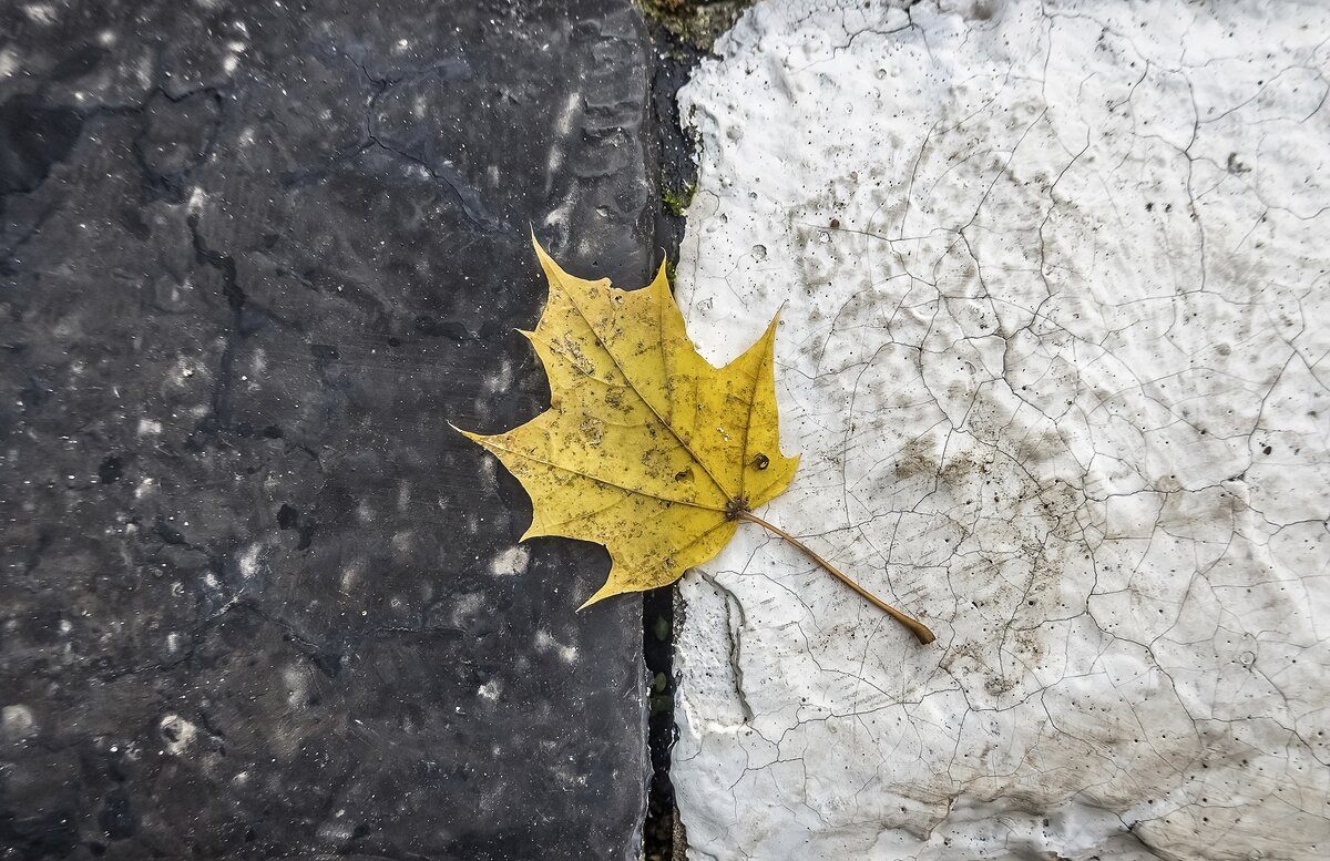 Осенние зарисовки - Валерий Иванович