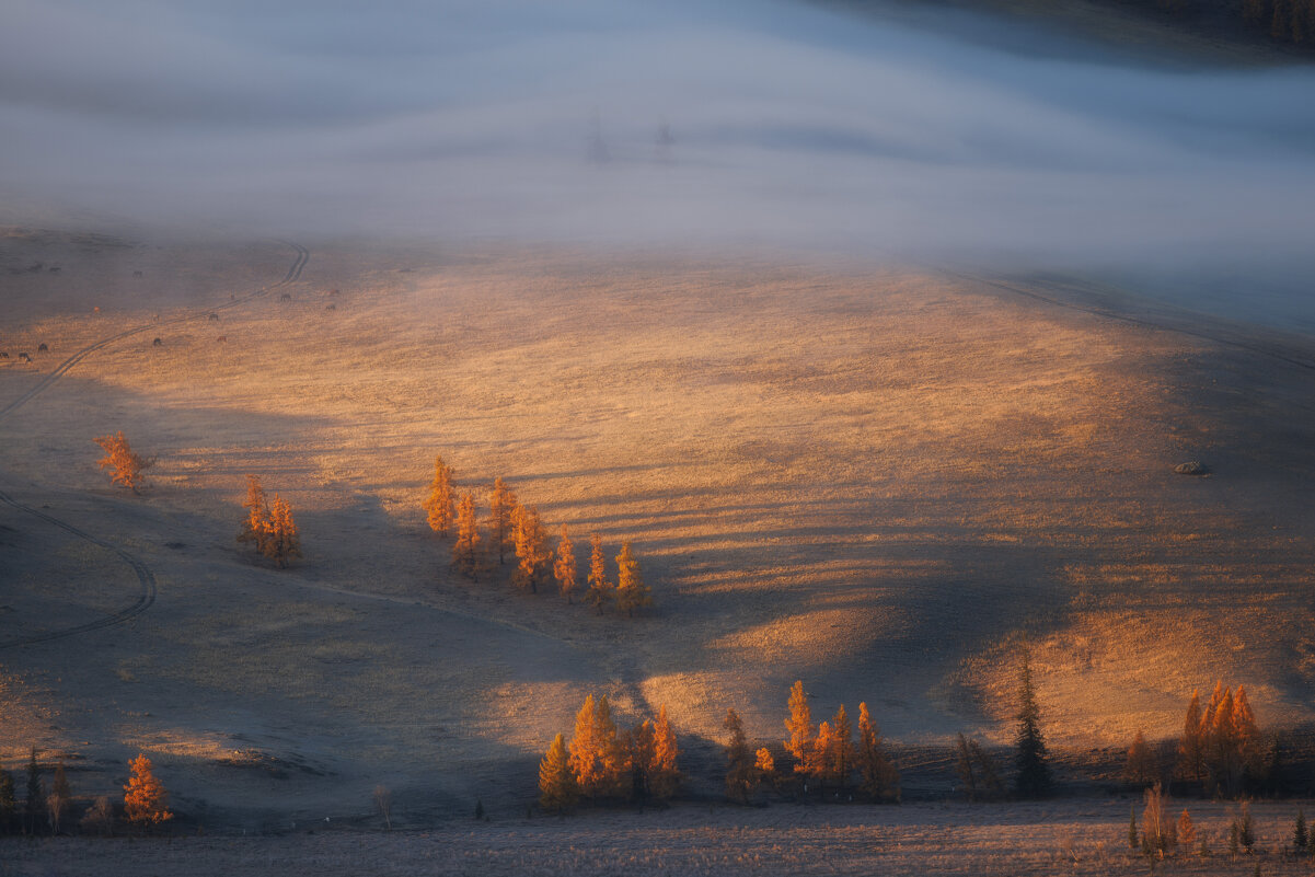 Утро в Курайской степи - Sergey38 