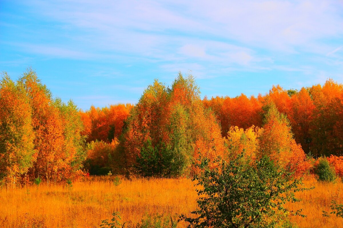 осень - Владимир иванов