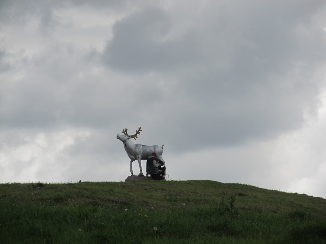 Академический - Елена Шаламова Академический - Елена Шаламова
