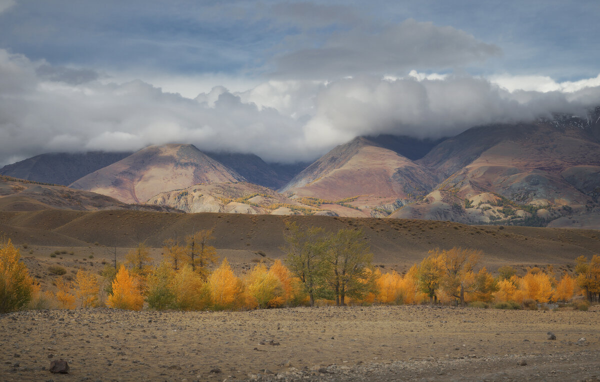 * - Александр Иванов