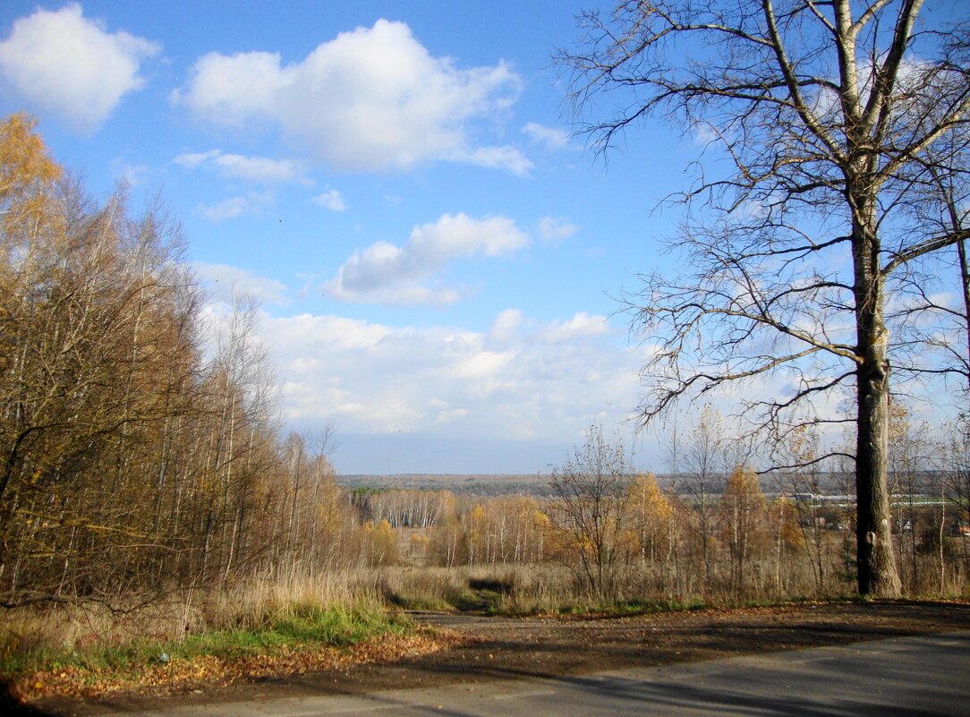 тополь облетел... - Галина Флора