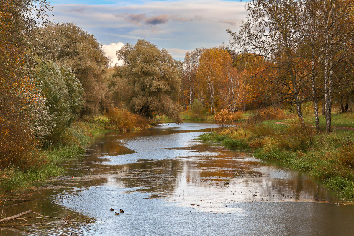 Павловск - skijumper Иванов