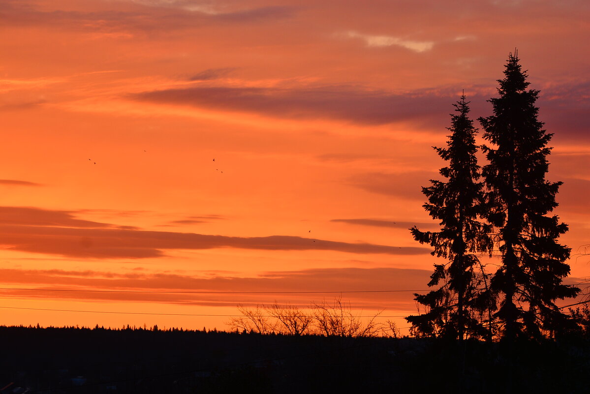 утро - леонид логинов