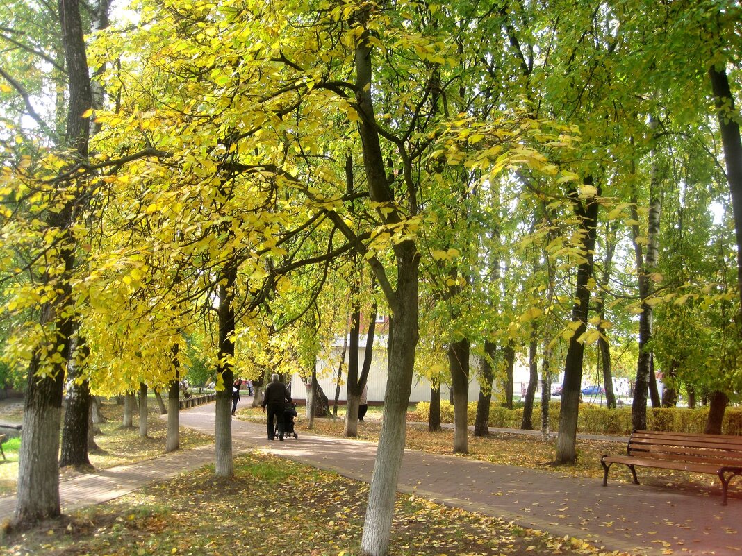 Осенними аллеями - Елена Семигина