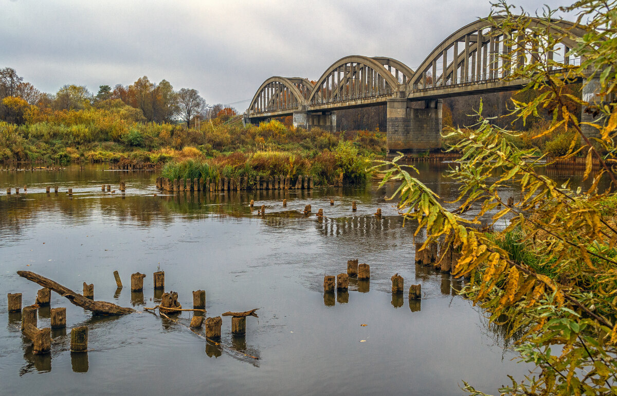 Клязьма осенняя - Сергей Цветков