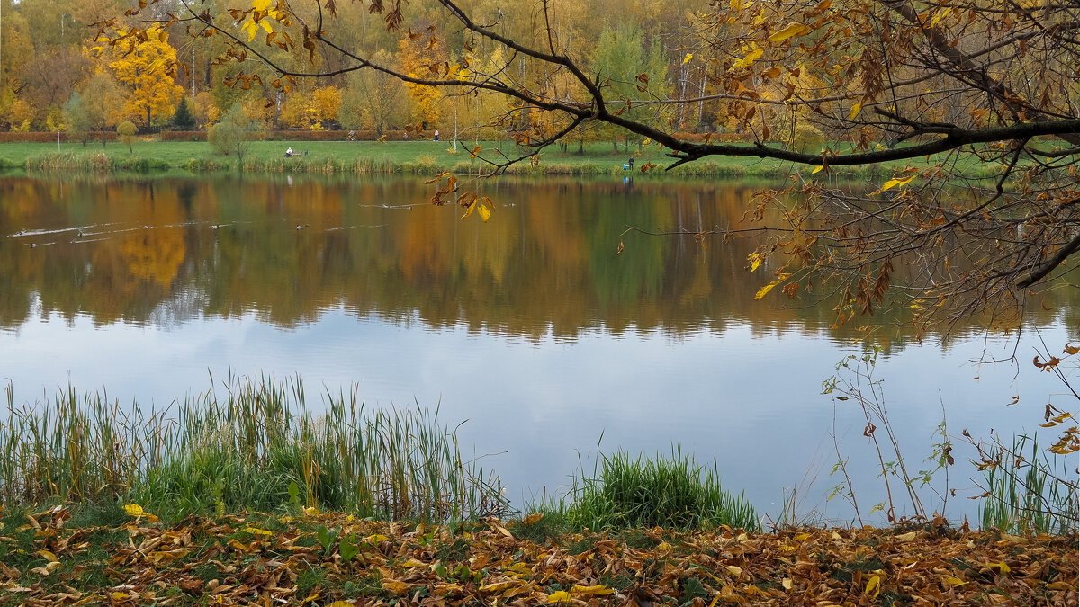 Осенний Сюжет - юрий поляков