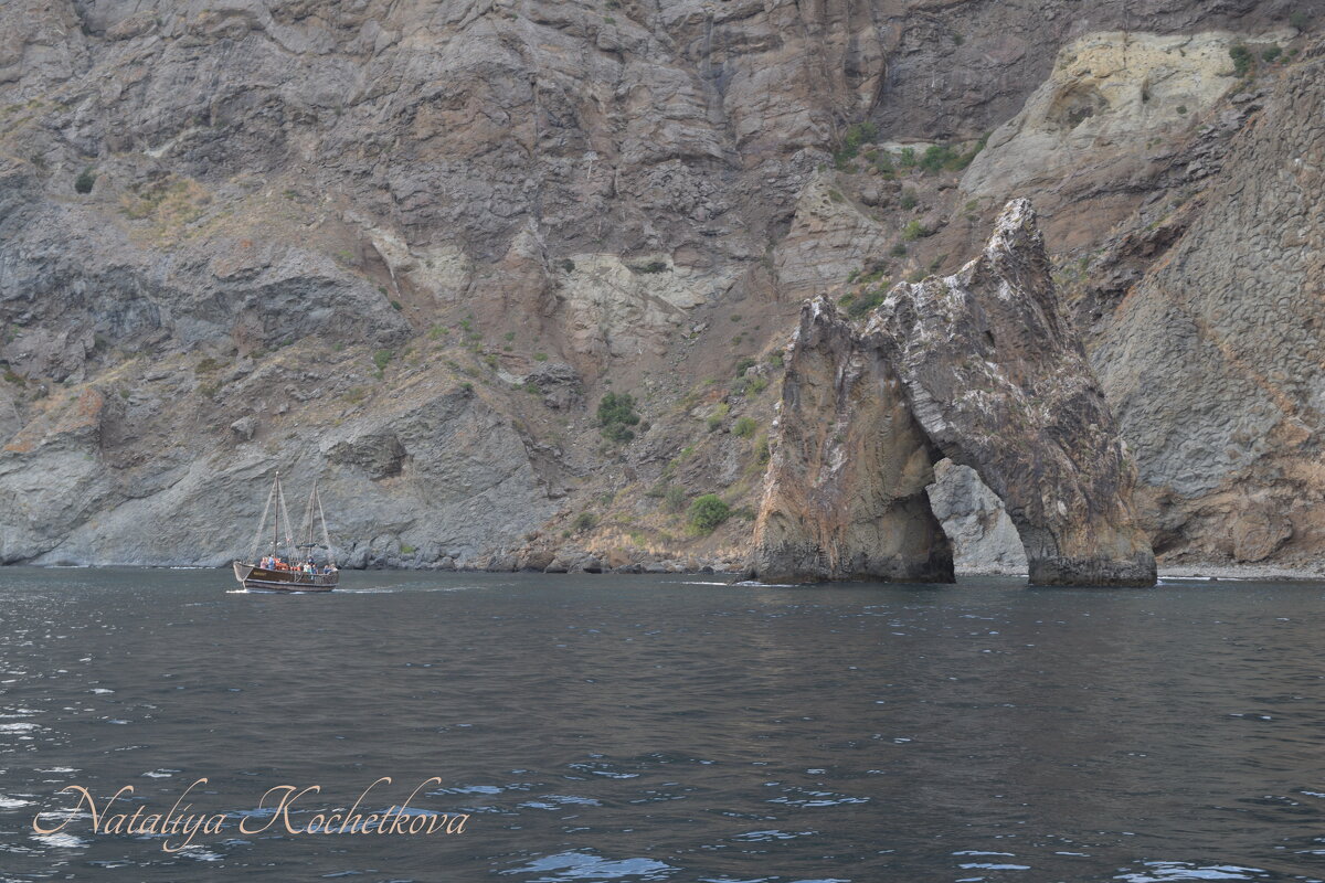 Природа Крыма - Amazing Cosmea