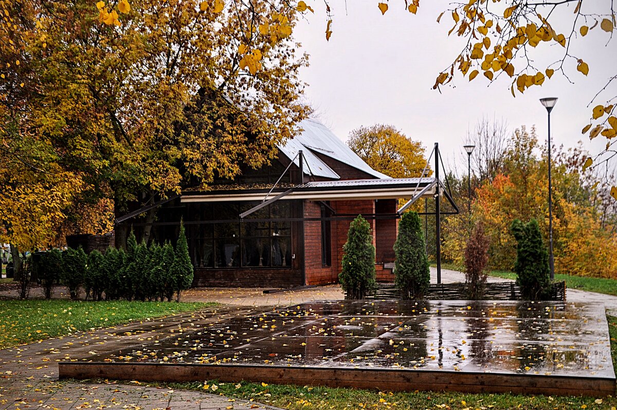 Идут проливные дожди ! Холодно и сыро ! Опустело кафе,,, - Анатолий Колосов