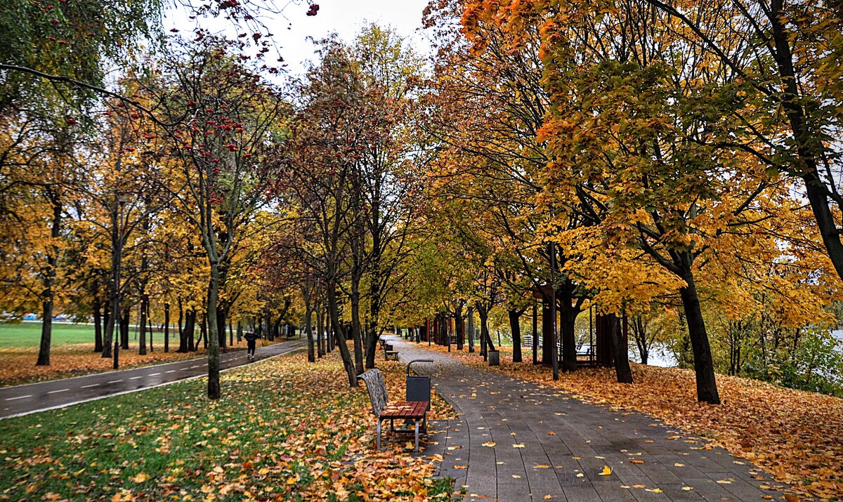 Дождь затих , и народ домой подался ! В том числе и я,,, - Анатолий Колосов